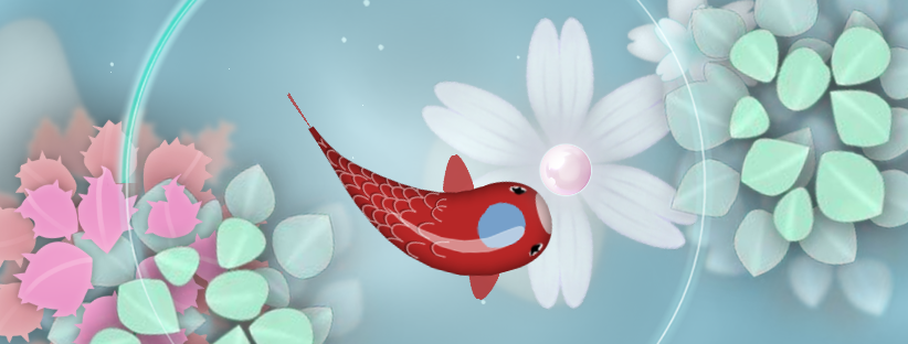 zenkoi cropped